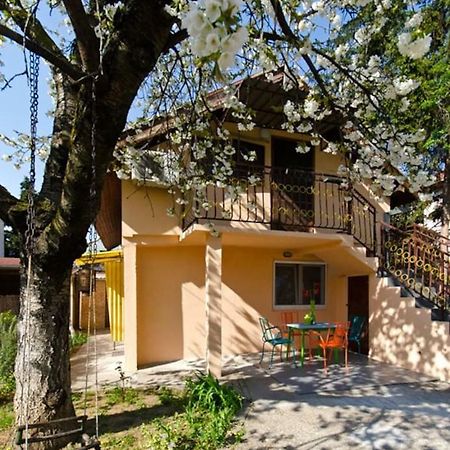 Cherry Tree Art House Belgrado Buitenkant foto