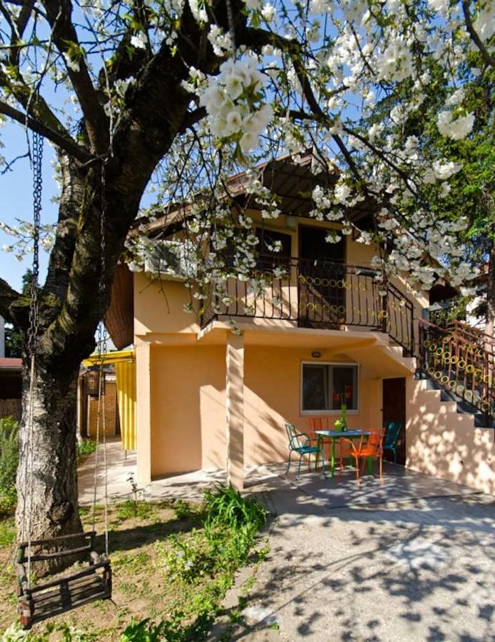 Cherry Tree Art House Belgrado Buitenkant foto