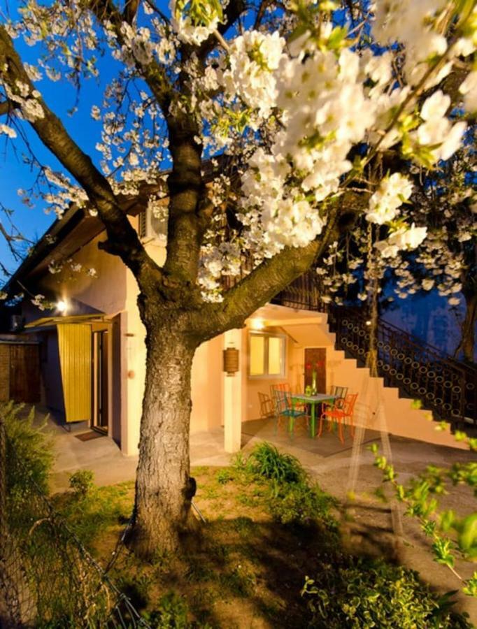 Cherry Tree Art House Belgrado Buitenkant foto